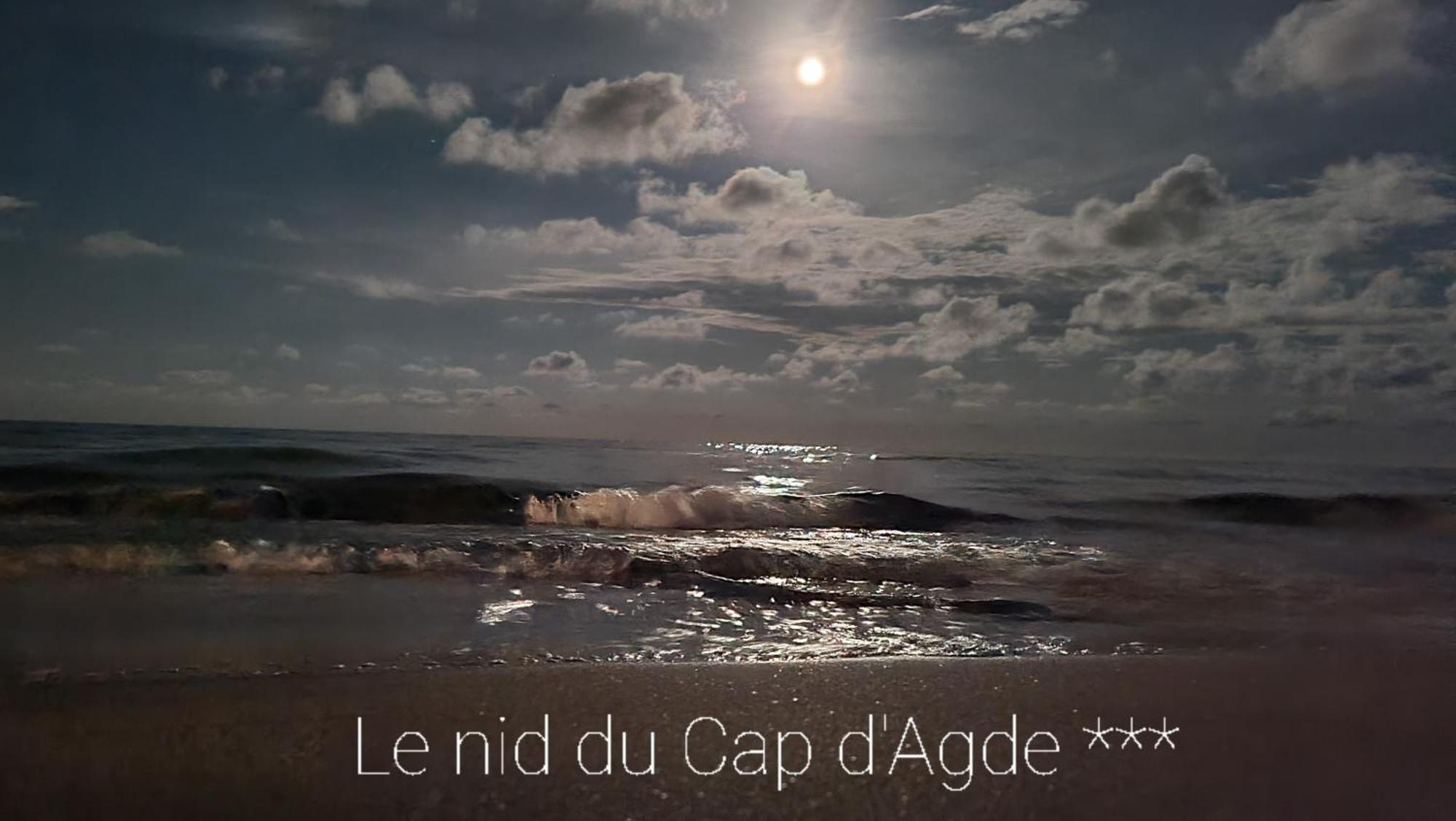 Residence De Standing La Pecherie Spacieux T3 Comme Un Cocon Familial Vue Mer Et Sur L'Avant Port Sur Le Bout Du Bout De Cap D'Agde Seule Cap En Occitanie Экстерьер фото