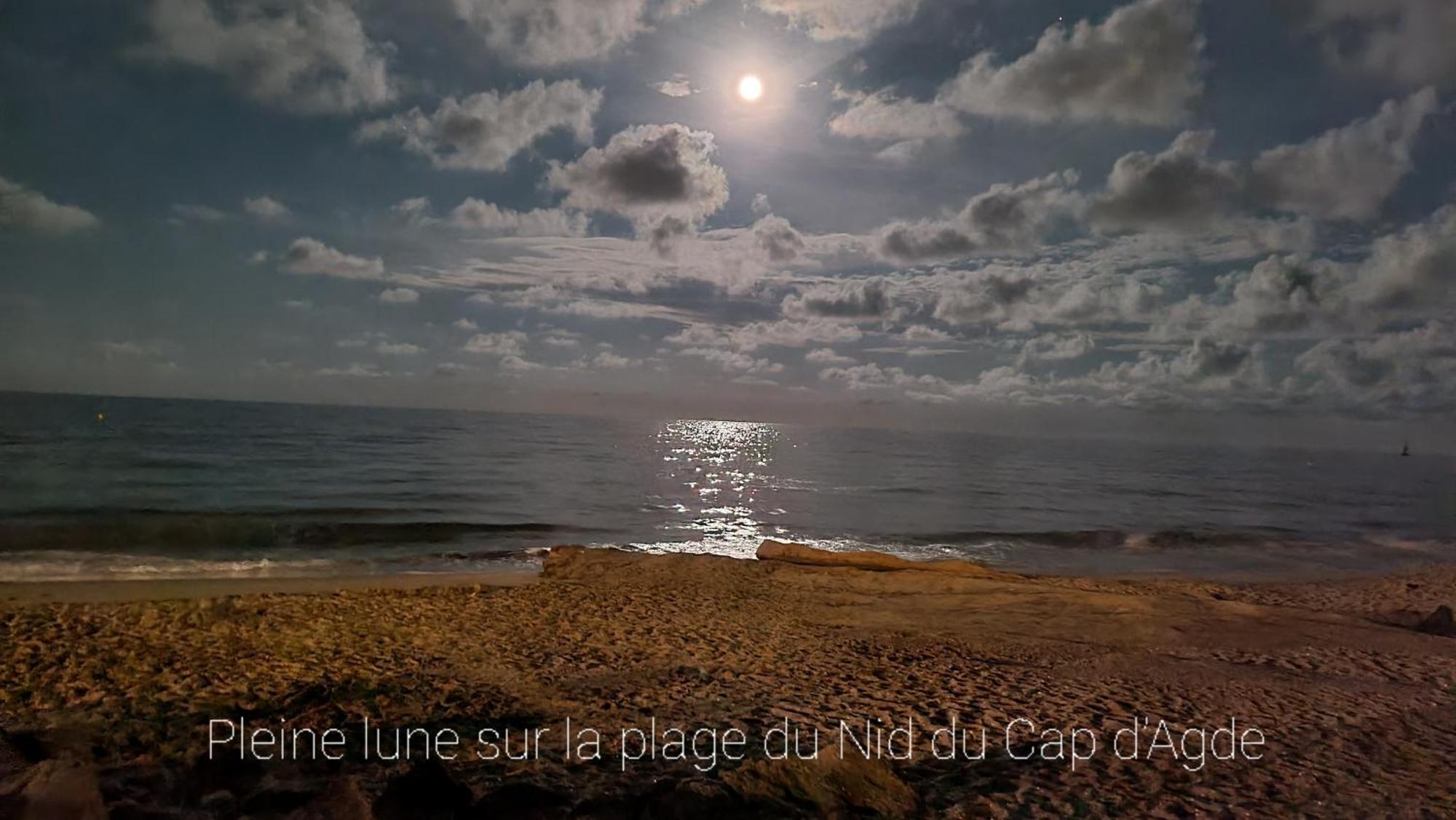 Residence De Standing La Pecherie Spacieux T3 Comme Un Cocon Familial Vue Mer Et Sur L'Avant Port Sur Le Bout Du Bout De Cap D'Agde Seule Cap En Occitanie Экстерьер фото